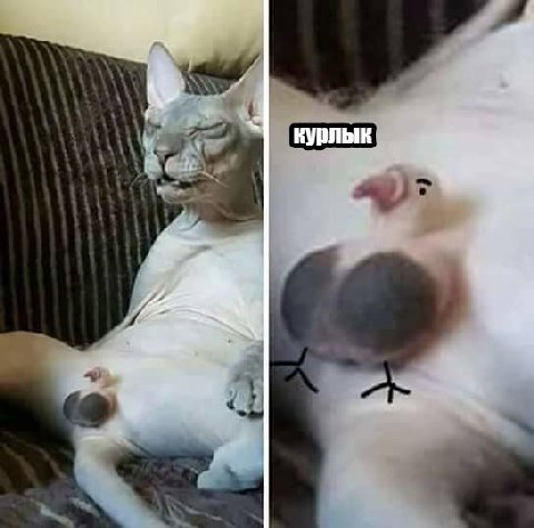 - > 2 ¥ ты | A Ш