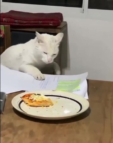 мем