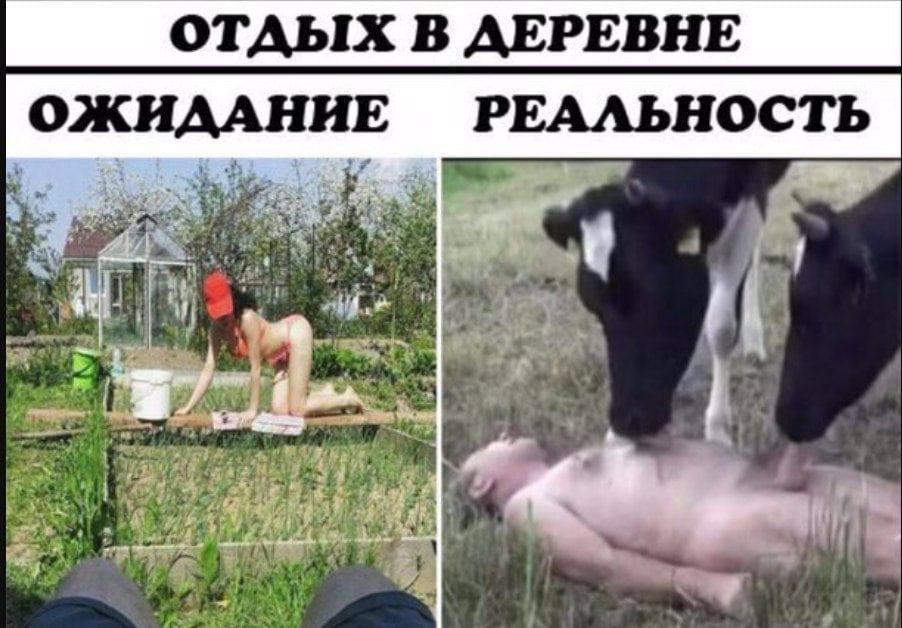 ОТДЫХ В ДЕРЕВНЕ ОЖИААНИЕ РЕАЛЬНОСТЬ a 4