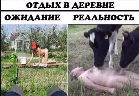 ОТДЫХ В ДЕРЕВНЕ ОЖИААНИЕ РЕАЛЬНОСТЬ a 4