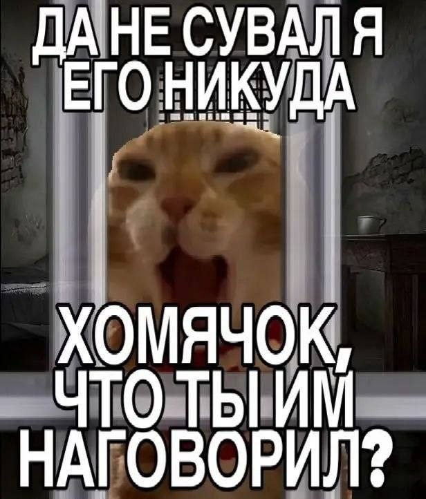 ДАНЕ СУВАЛ Я НИКУДА ХОМЯЧОК, НАГОВОРИЛ?