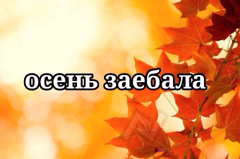 осень