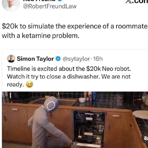 @RobertFreundLaw to simulate the experience of a roommate with a ketamine problem. Simon Taylor Timeline is excited about the Neo robot. Watch it try to close a dishwasher. We are not ready.
