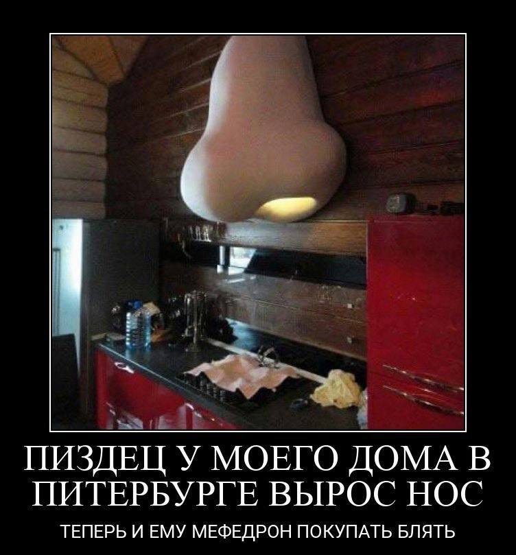 ПИЗДЕЦ У МОЕГО ДОМА В ПИТЕРБУРГЕ ВЫРОС НОС ТЕПЕРЬ И ЕМУ МЕФЕДРОН ПОКУПАТЬ БЛЯТЬ