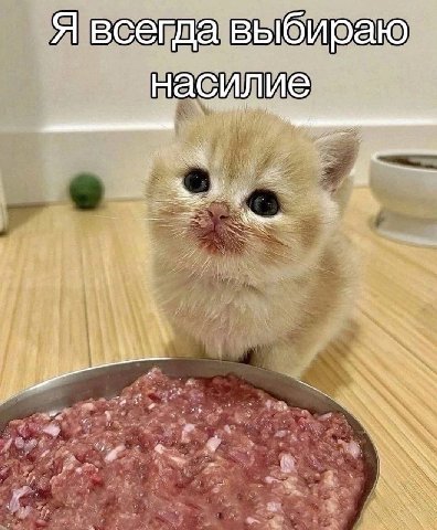 Я всегда выбираю насилие а