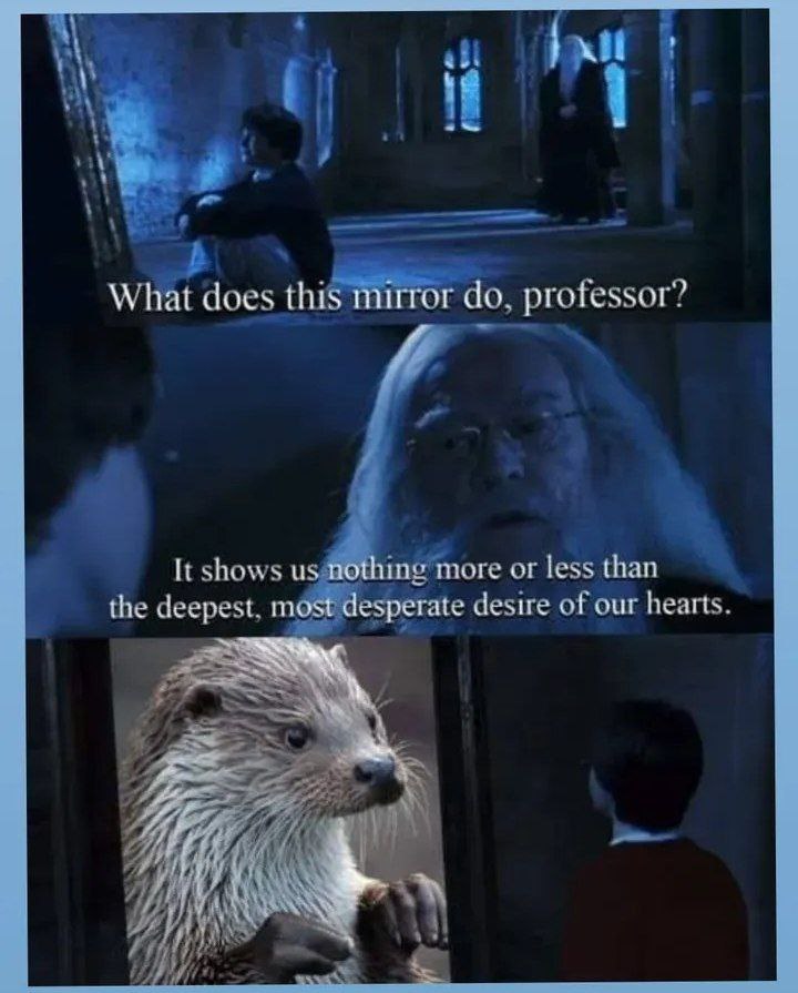abl nll Я’. What does this mirror professor? It shows с тоге or less than the deepest, esperate desire of our hearts Я at