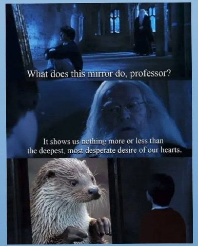 abl nll Я’. What does this mirror professor? It shows с тоге or less than the deepest, esperate desire of our hearts Я at