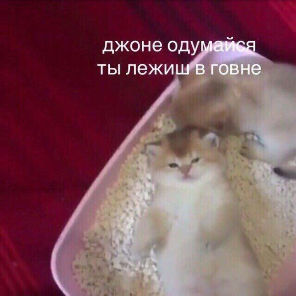 джоне OF ты лежиш в говне
