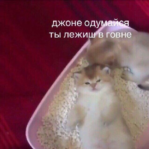 джоне OF ты лежиш в говне