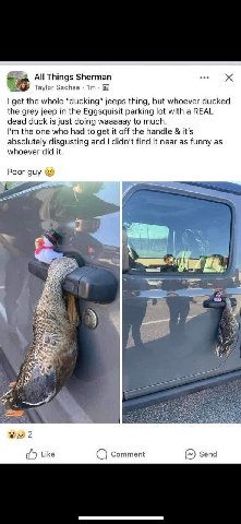 All Things Sherman Taylor Sachse get the whole “ducking” jeeps thing, but whoever ducked the grey jeep in the Eggsquisit parking lot with a REAL dead duck is just doing waaaaay to much. the one who ha