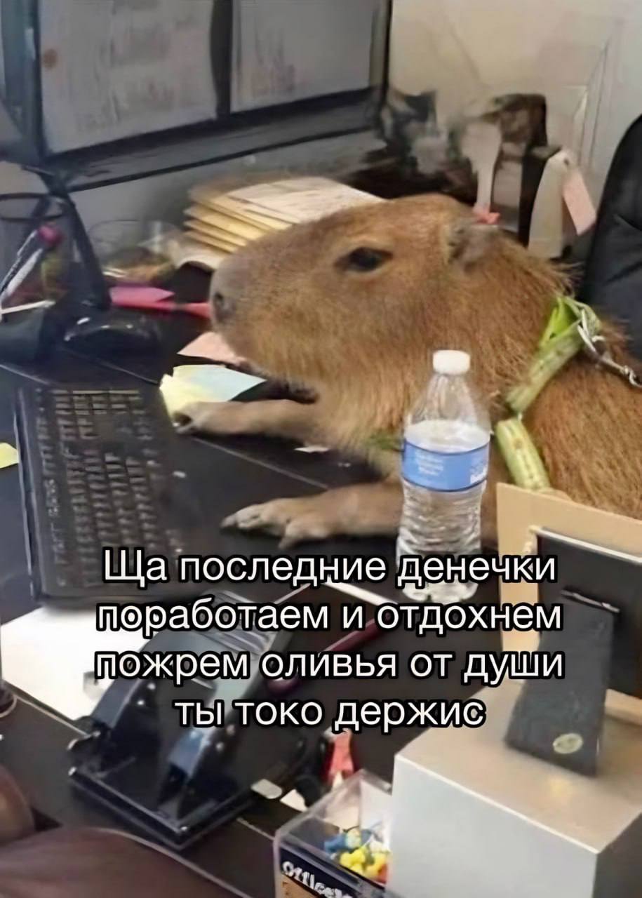 4 последние ечки оработаем и отдохнём пожрем оливья от души ТЫ TOKO держис