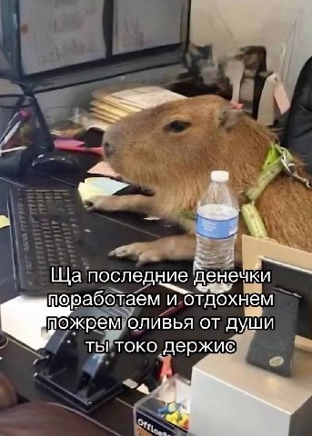 4 последние ечки оработаем и отдохнём пожрем оливья от души ТЫ TOKO держис