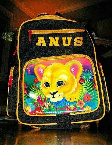 ANUS (A