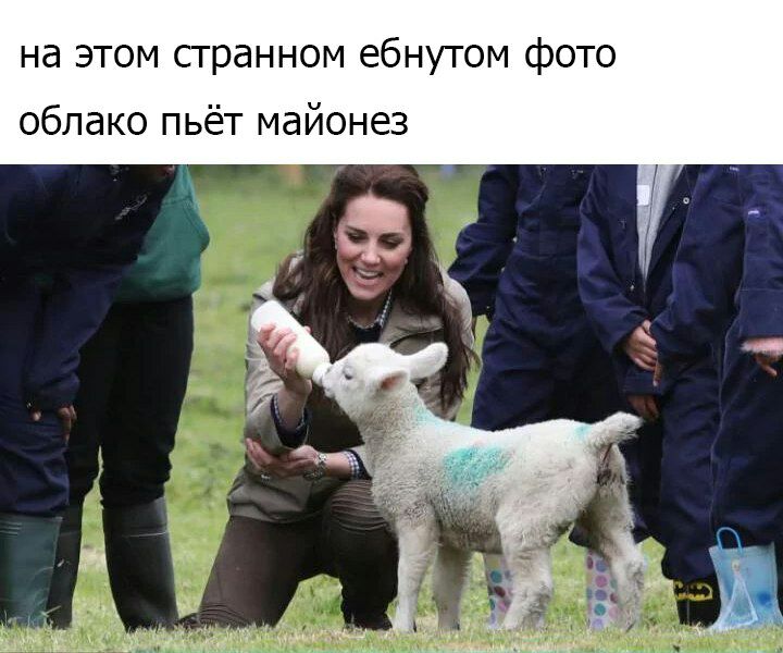 на этом странном ебнутом фото облако пьёт майонез А