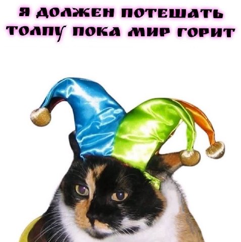Я ДОЛЖЕН ПОТЕШАТЬ толпу MOKA МИР ГОРИТ