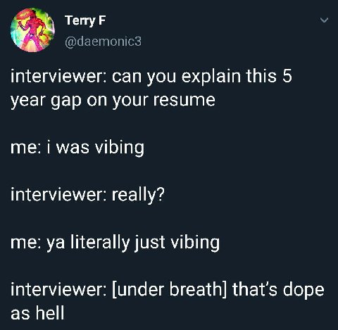Terry 4 interviewer: can you explain this 5 year gap on your resume me: i was vibing interviewer: really? me: literally just vibing interviewer: [under breath] that’s dope as hell