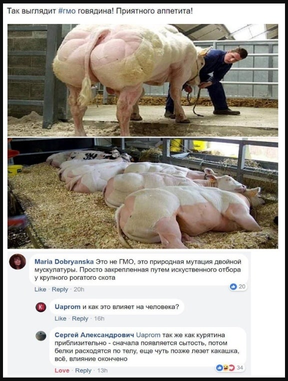 Влияние