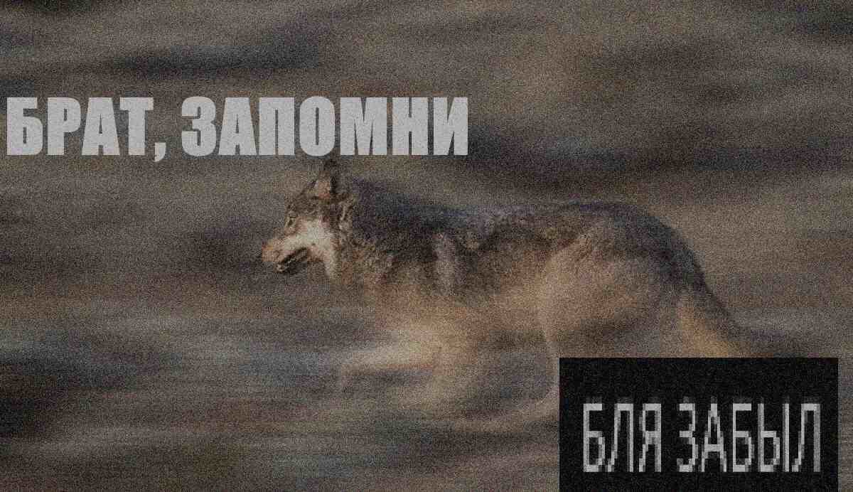 БРАТ, ЗАПОМНИ