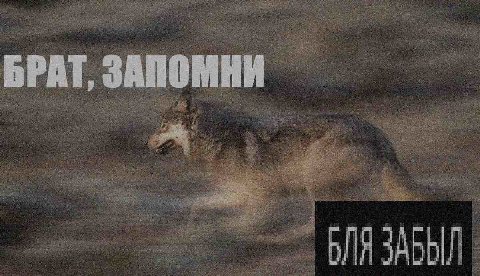 БРАТ, ЗАПОМНИ