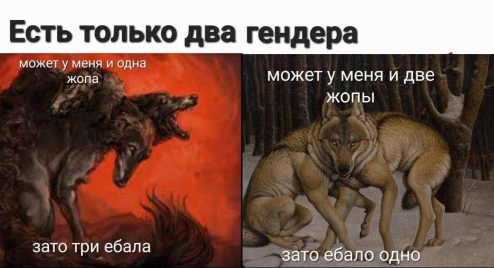 Есть только два гендера может у меня и одна жопа может у меня и две жопы зато три ебала зато ебало одно