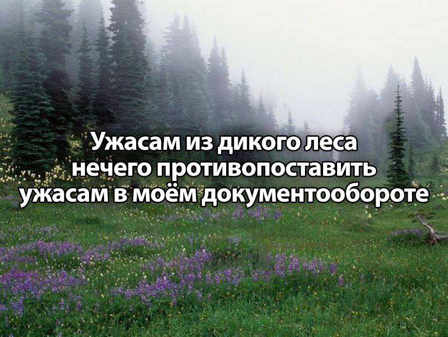 Ужасам из дикого леса Нечего противопоставить ужасам в моём документообороте