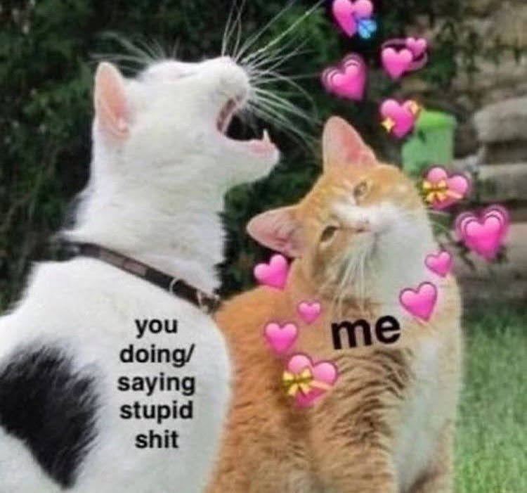 you me doing/ saying stupid shit