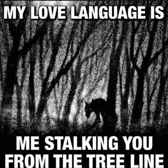 MY LOVE LANGUAGE IS ME STALKING YOU FROM THE TREE LINE