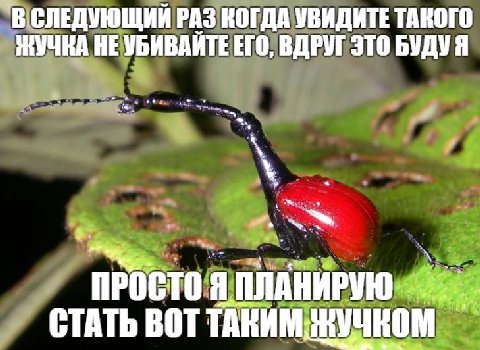 В СЛЕДУЮЩИЙ РАЗ КОГДА УВИДИТЕ ТАКОГО HE УБИВАИТЕ ЕГО, ВДРУГ ЭТО БУДУЯ ПРОСТО Я ПЛАНИРУЮ СТАТЬ ВОТ