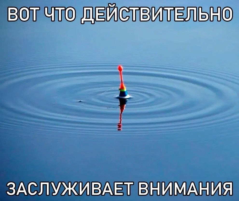 ВОТ ЧТО ДЕЙСТВИТЕЛЬНО ЗАСЛУЖИВАЕТ ВНИМАНИЯ