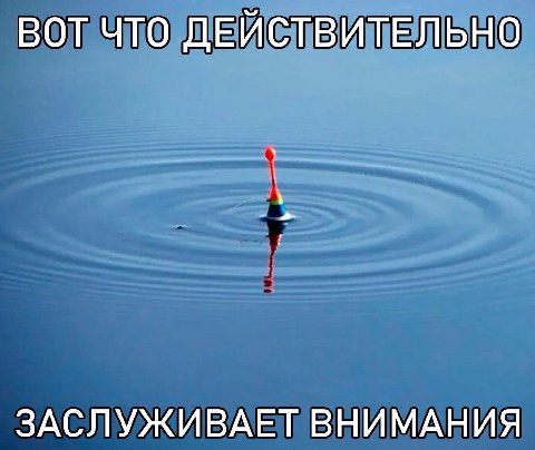 ВОТ ЧТО ДЕЙСТВИТЕЛЬНО ЗАСЛУЖИВАЕТ ВНИМАНИЯ