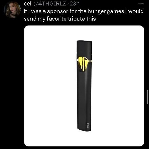 cel if i was a sponsor hunger games i would send my favorite tribute this