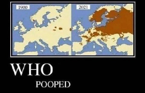 WHO POOPED