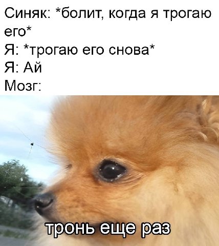 Синяк: *болит, когда я трогаю его* Я: *трогаю его снова* Я: Мозг: к 4 тронь