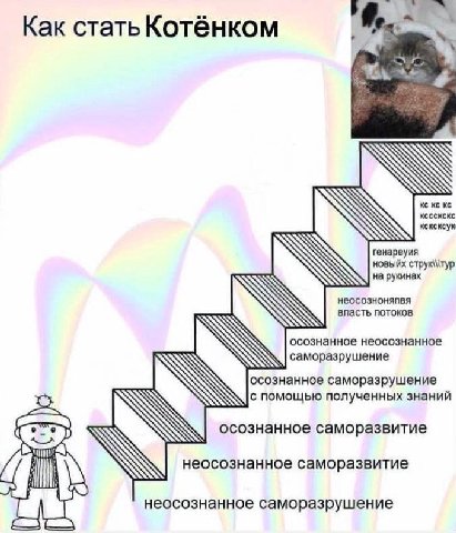 Как стать Котёнком ксксксук AN генареуия новыйх струк\тур AN на рукинах неосозноняпвя власть потоков ASN осознанное неосознанное саморазрушение осознанное саморазрушение с помощью полученных знаний ос