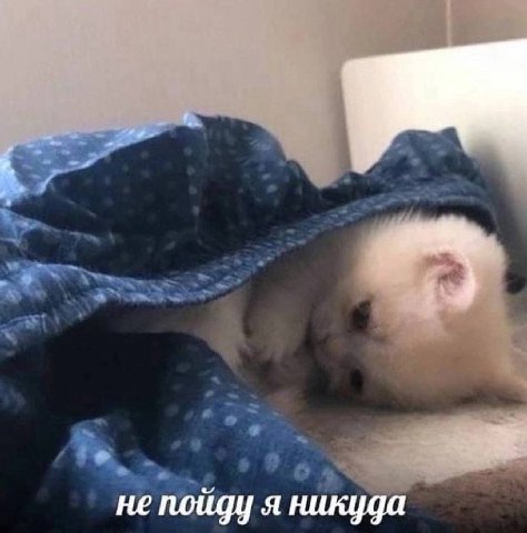 mood