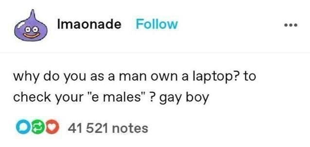 Imaonade Follow eee why you as a man own a laptop? to check your males” gay boy ОЭО 41521 notes