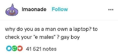 Imaonade Follow eee why you as a man own a laptop? to check your males” gay boy ОЭО 41521 notes