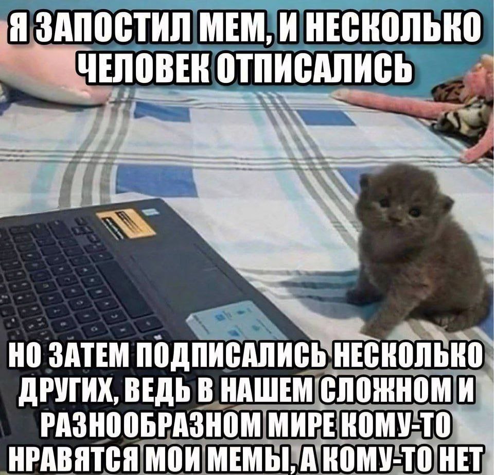 Я ЗАПОСТИЛ МЕМ, И НЕСКОЛЬКО ЧЕПОВЕК НО ЗАТЕМ ПОДПИСАЛИСЬ НЕСКОЛЬКО ДРУГИХ, ВЕДЬ В НАШЕМ РАЗНООБРАЗНОМ НРАВЯТСЯ МОИ МЕМЫ, А КОМУ-ТО НЕТ.