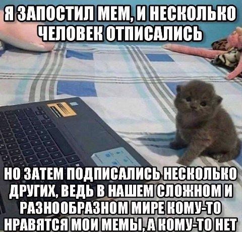 Я ЗАПОСТИЛ МЕМ, И НЕСКОЛЬКО ЧЕПОВЕК НО ЗАТЕМ ПОДПИСАЛИСЬ НЕСКОЛЬКО ДРУГИХ, ВЕДЬ В НАШЕМ РАЗНООБРАЗНОМ НРАВЯТСЯ МОИ МЕМЫ, А КОМУ-ТО НЕТ.