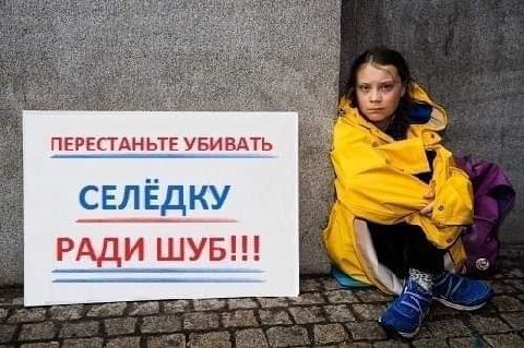 ПЕРЕСТАНЬТЕ УБИВАТЬ СЕЛЁДКУ РАД И