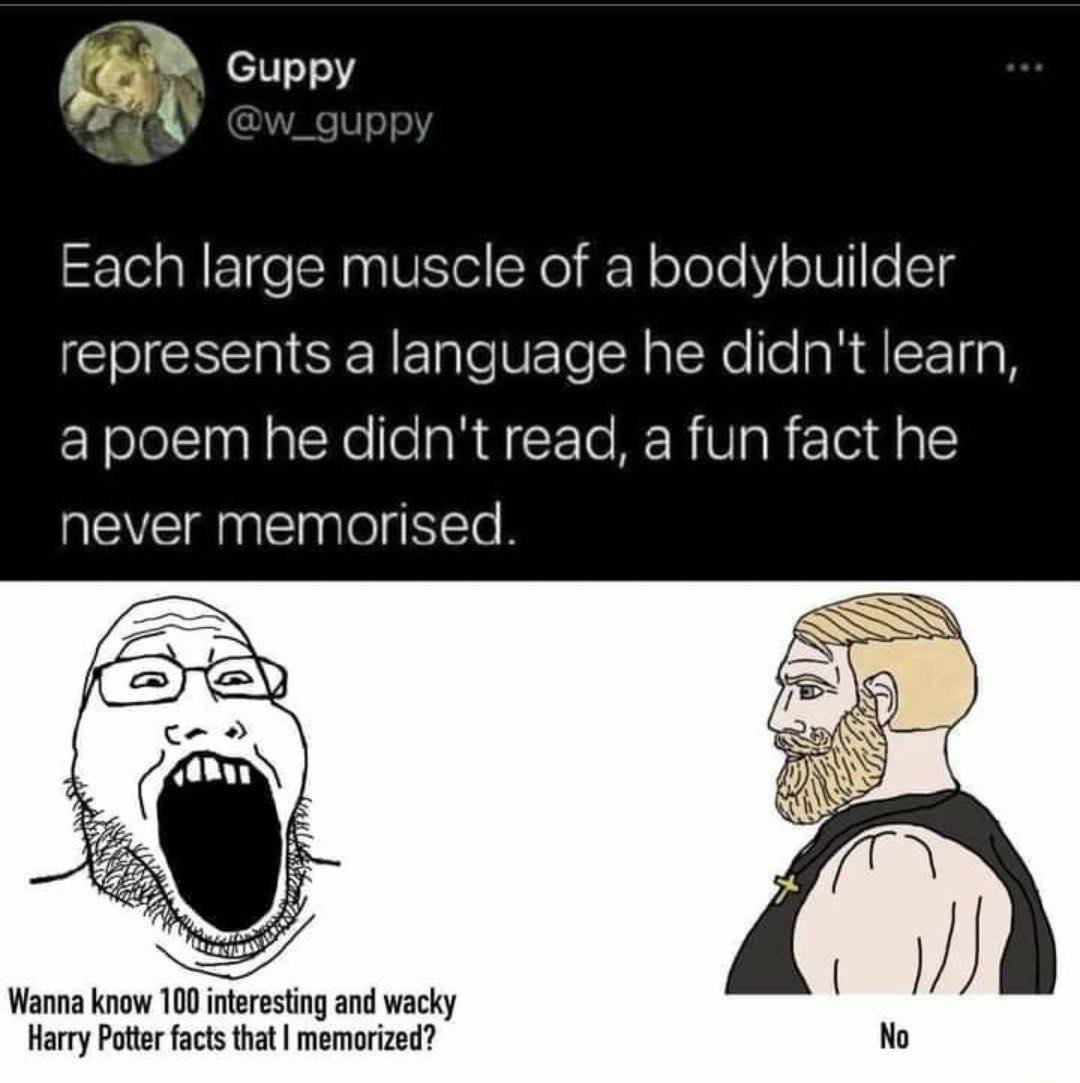 Each large muscle of a bodybuilder represents a language he didn't learn, a poem he didn't read, a fun fact he never memorised. И) Wanna know 100 interesting and wacky Harry Potter facts that memorize