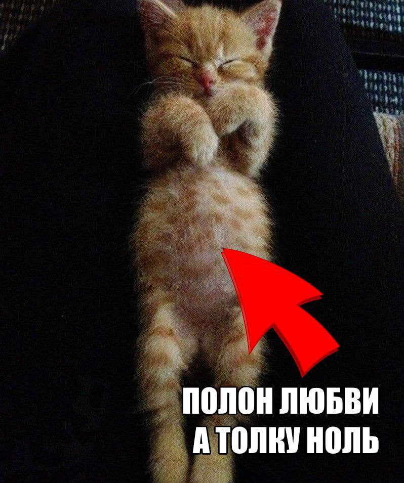 ПОЛОН ЛЮБВИ А ТОЛКУ НОЛЬ