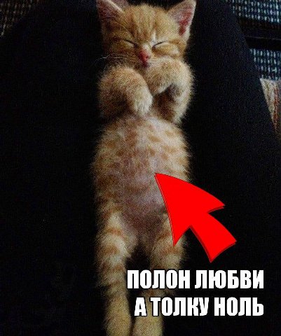 ПОЛОН ЛЮБВИ А ТОЛКУ НОЛЬ