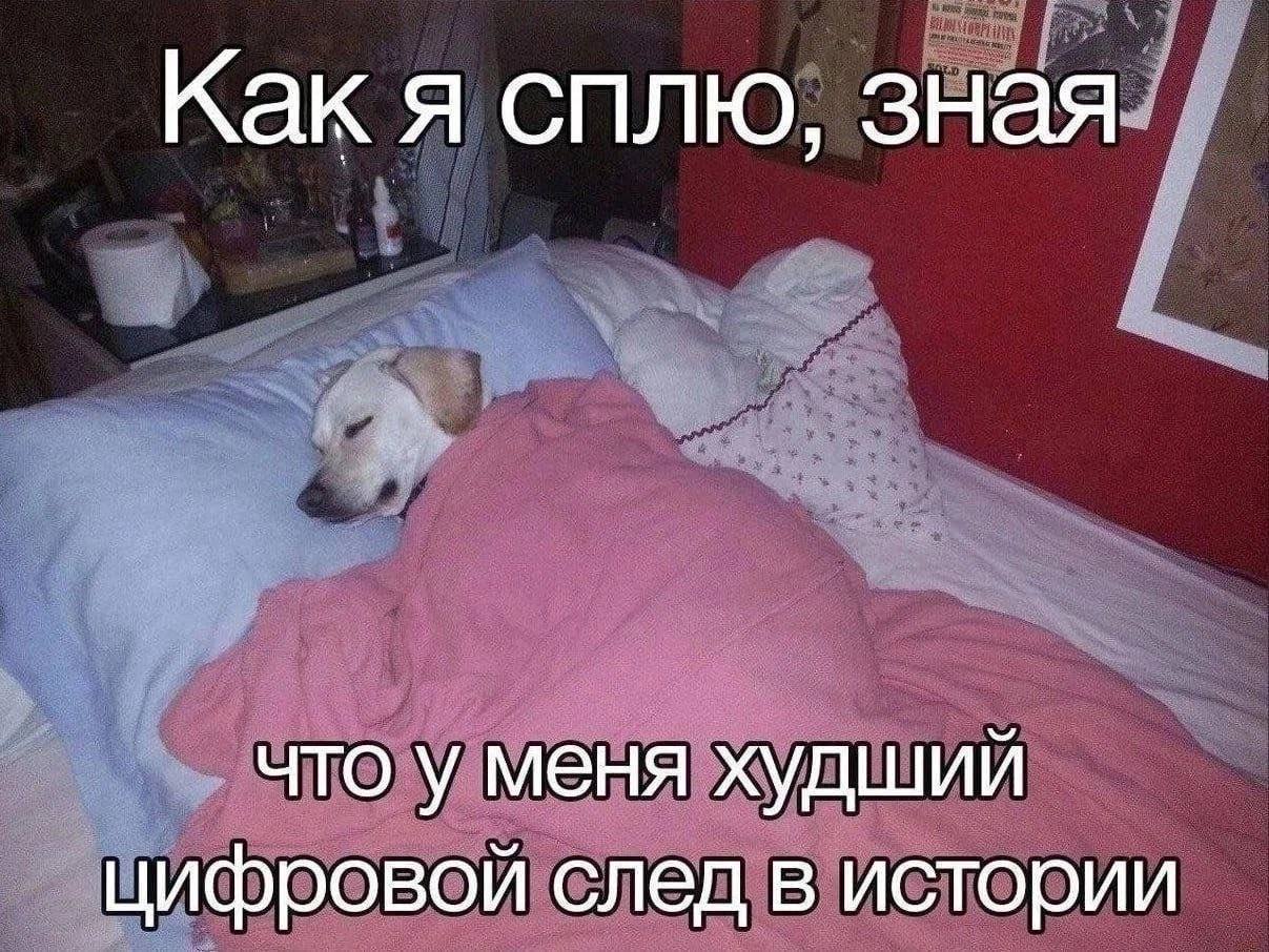 Как я сплю, зная что у меня худший цифровой след в истории