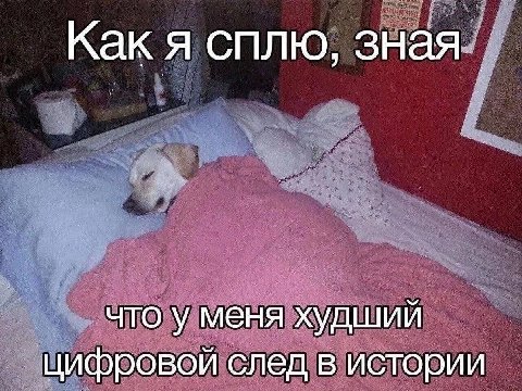 Как я сплю, зная что у меня худший цифровой след в истории