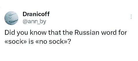 Dranicoff @апп Did you know that the Russian word for «sock» is «по sock»?