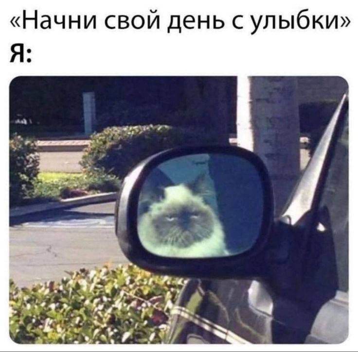 «Начни свой день с улыбки» Я: 7 у 7% я