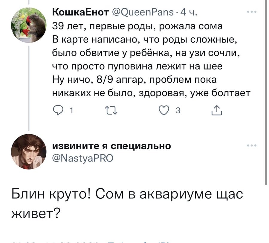 КошкаЕнот @QueenPans: 4 39 лет, первые роды, рожала сома карте написано, что роды сложные, было обвитие у ребёнка, на узи сочли, что просто пуповина лежит на шее Ну ничо, 8/9 апгар, проблем пока никак