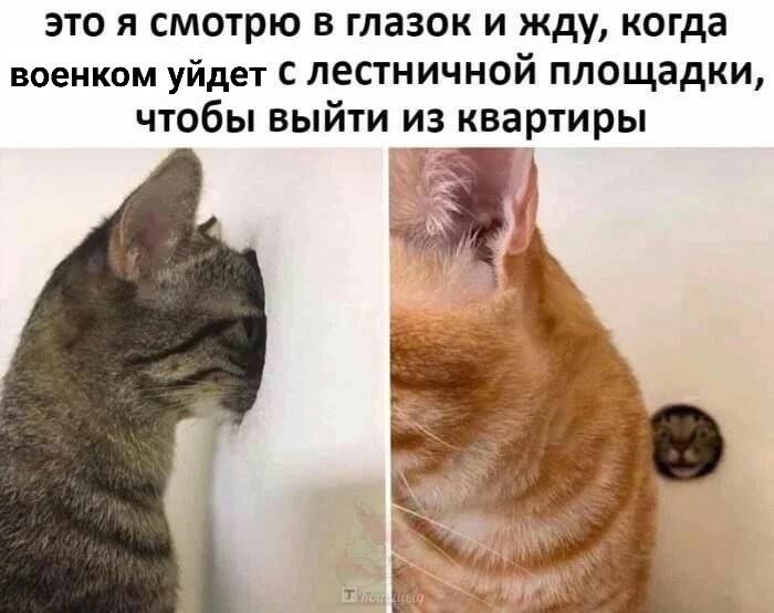 это я смотрю в глазок и жду, когда военком уйдет лестничной площадки, чтобы выйти из квартиры