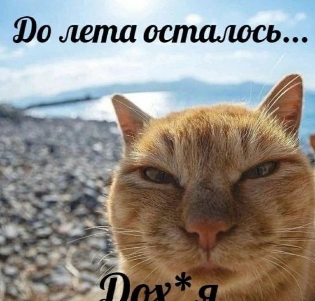 лета осталось... a 5. a